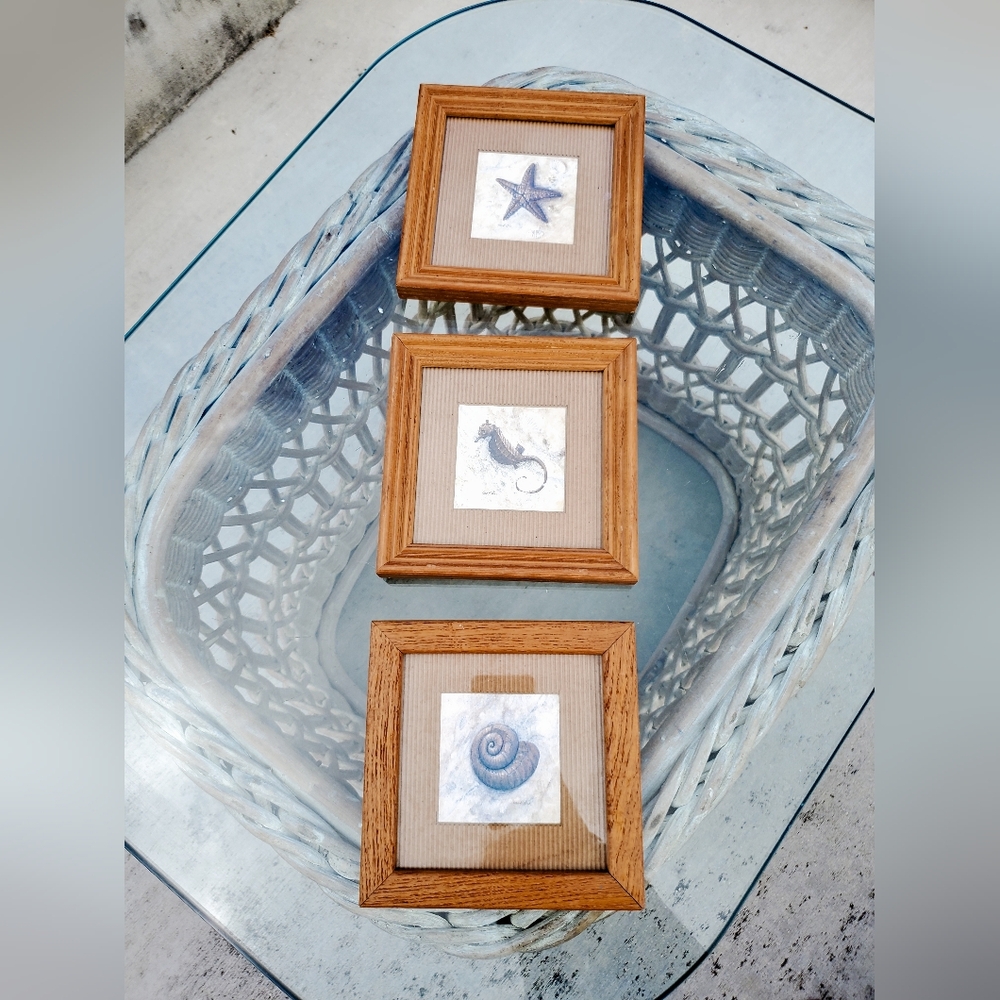 Nautical Seashell Framed Artwork
